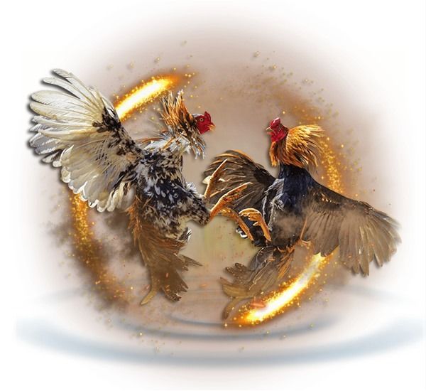 Sabung Ayam Online 2026